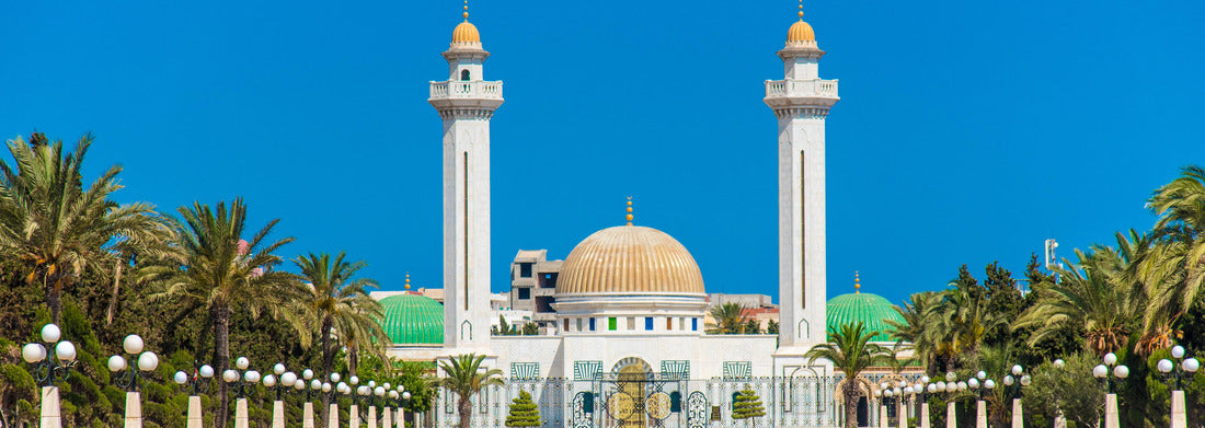 Noah Jigsaw Puzzle Mausoleum of Habib Bourgiba, the first president of the Tunisian Republic. Monastir panorama 1000 pieces