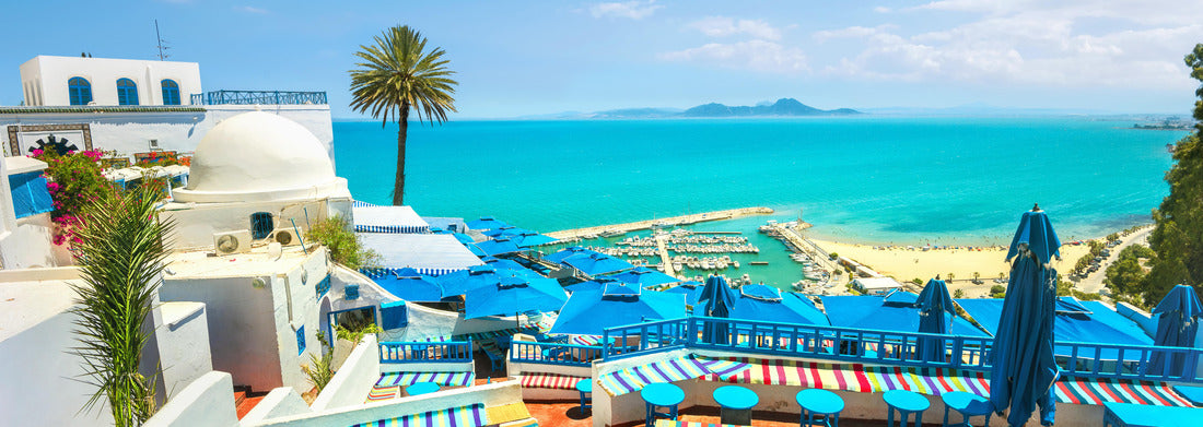 Noah Jigsaw Puzzle Beautiful view of the sea and the white and blue village of Sidi Bou Said. Tunisia panorama 1000 pieces