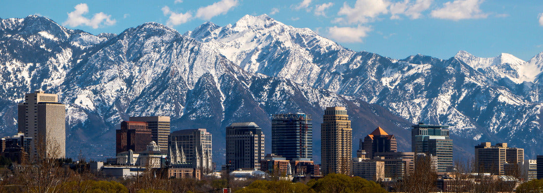 Noah Jigsaw Puzzle Salt Lake City panoramic panorama 1000 pieces