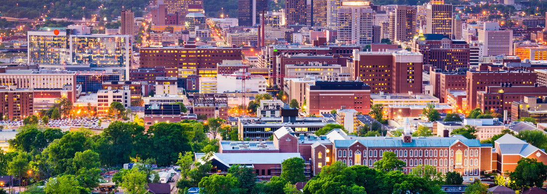 Noah Jigsaw Puzzle Birmingham, Alabama, USA Downtown City Skyline panorama 1000 pieces