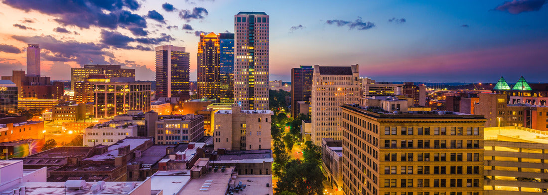 Noah Jigsaw Puzzle Birmingham, Alabama, USA downtown city skyline panorama 1000 pieces