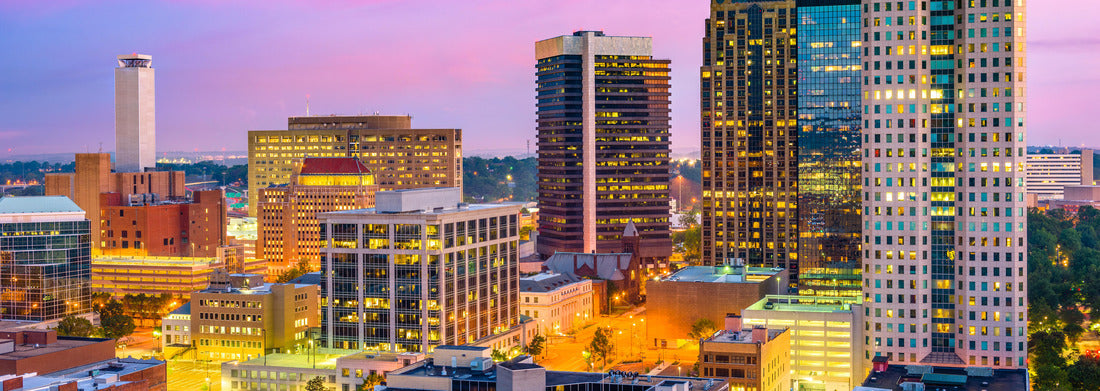 Noah Jigsaw Puzzle Birmingham, Alabama, USA Downtown City Skyline panorama 1000 pieces