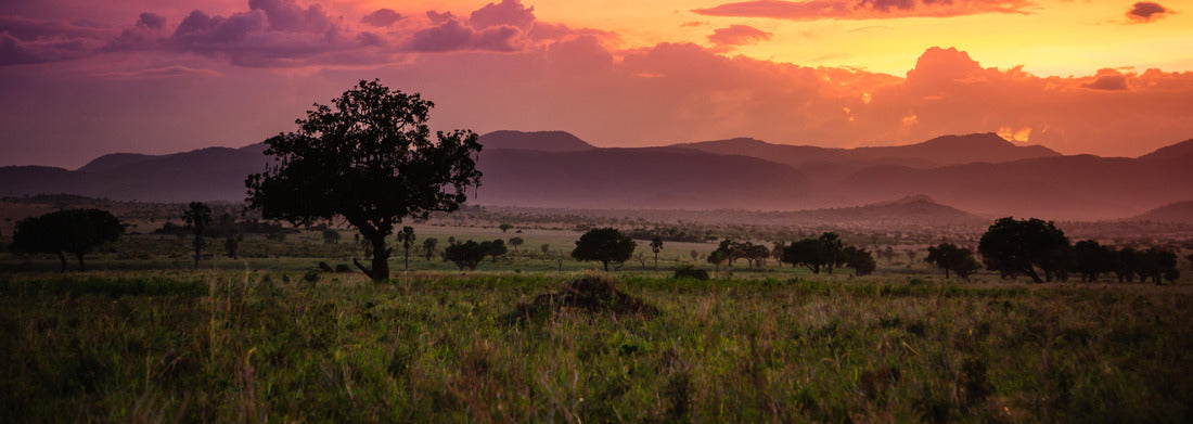Noah Jigsaw Puzzle Stormcloud landscape in Kidepo Valley National Park - Uganda panorama 1000 pieces