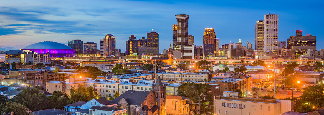 Noah Jigsaw Puzzle New Orleans, Louisiana downtown city skyline panorama 1000 pieces
