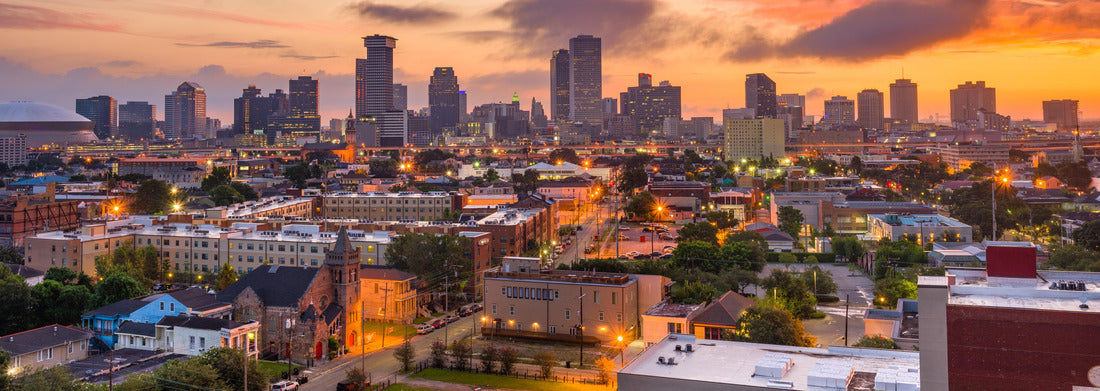 Noah Jigsaw Puzzle New Orleans, Louisiana downtown city skyline at twilight panorama 1000 pieces