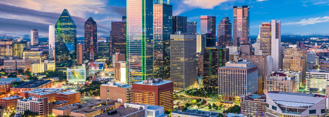 Noah Jigsaw Puzzle Dallas, Texas, USA Downtown skyline panorama 1000 pieces