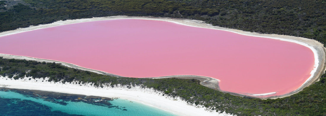 Noah Jigsaw Puzzle Lake Hillier, Western Australia: Amazing pink lake, natural landmark of Australia, in Middle Island, Recherche Archipelago Nature Reserve, near Esperance panorama 1000 pieces
