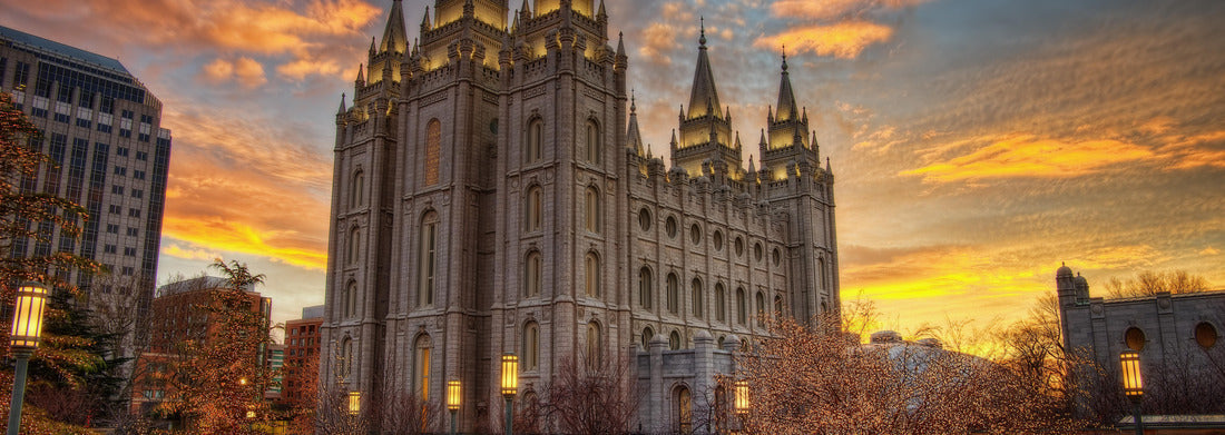 Noah Jigsaw Puzzle Salt Lake City Sunset panorama 1000 pieces