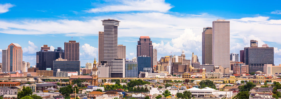 Noah Jigsaw Puzzle New Orleans, Louisiana, USA downtown city skyline panorama 1000 pieces