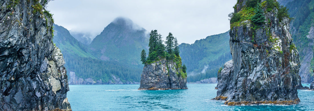 Noah Jigsaw Puzzle Blue waters and tree covered rocks jutting out of water on a cloudy morning at Porcupine bay at Kenai Fjords National Park, Alaska panorama 1000 pieces