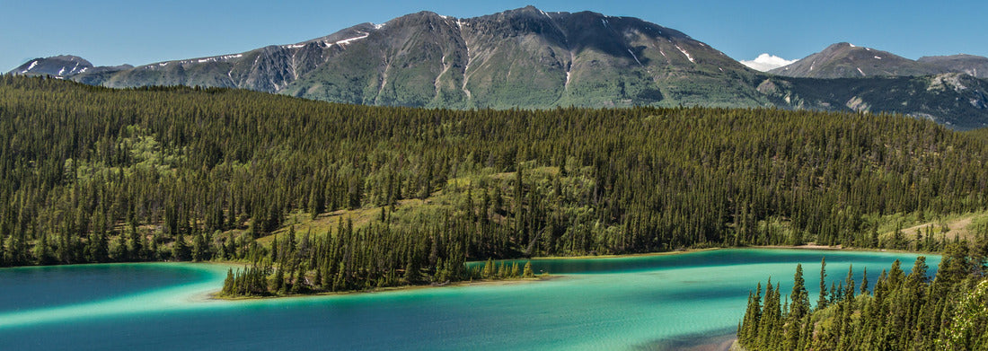 Noah Jigsaw Puzzle Emerald Lake - This is a shot of Emerald Lake in Yukon Territory, Canada. It is located near the town of CarCross panorama 1000 pieces