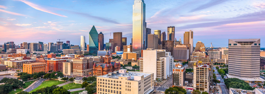 Noah Jigsaw Puzzle Dallas, Texas, USA downtown skyline panorama 1000 pieces