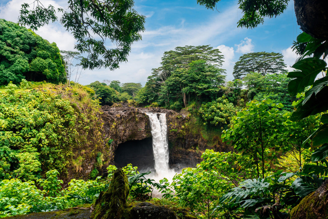 Noah Jigsaw Puzzle Rainbow falls in Hilo Hawaii 2000 pieces