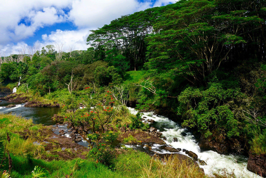 Noah Jigsaw Puzzle The picturesque Wailuku River, located near Hilo, Hawaii 2000 pieces