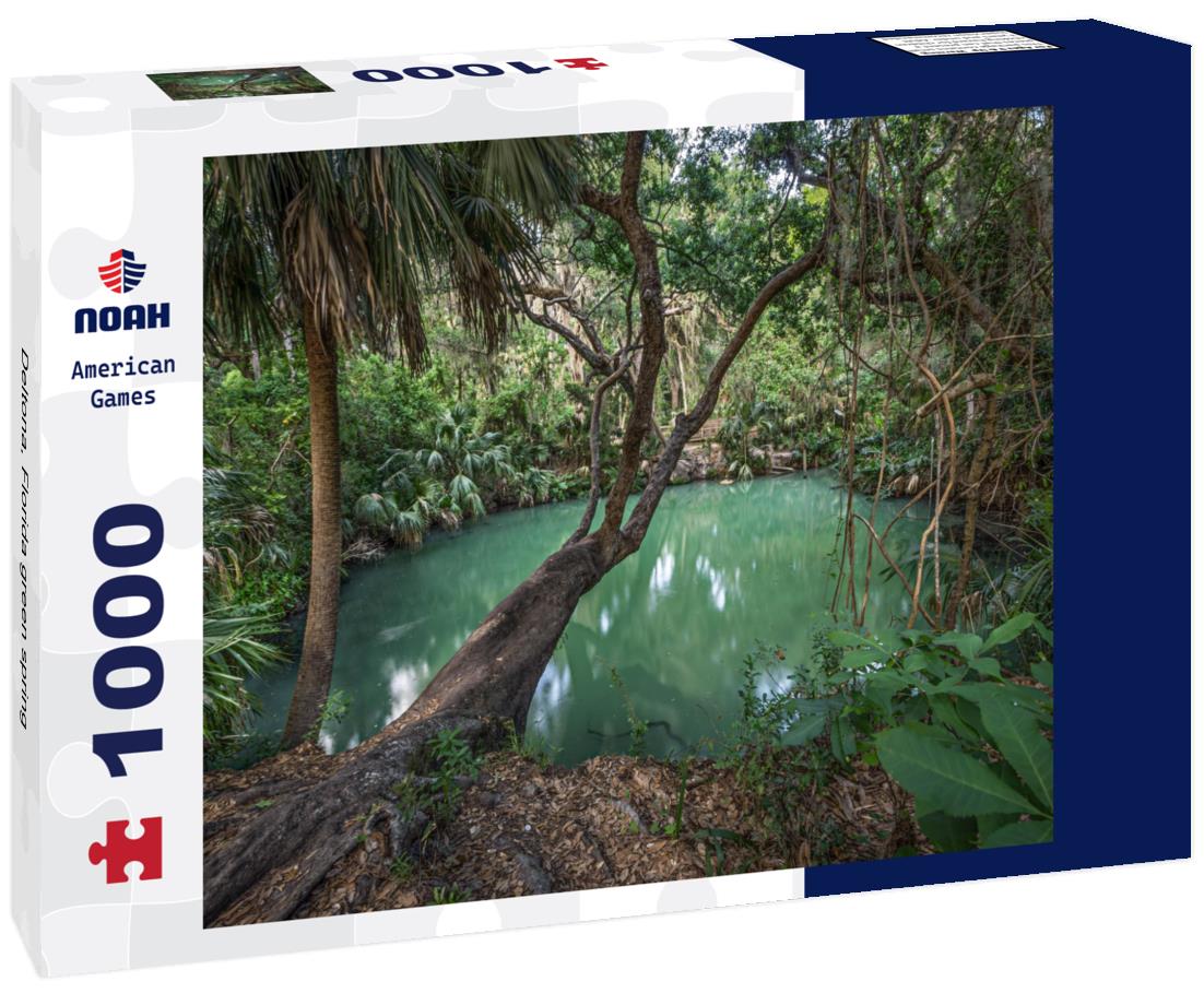 Deltona, Florida green spring 1000pc Puzzle