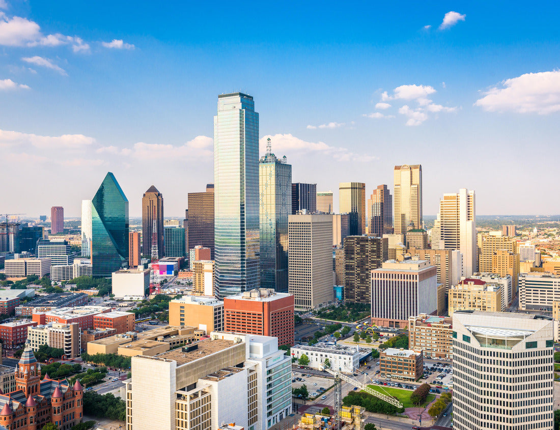 Noah Jigsaw Puzzle Dallas, Texas, USA City Skyline 1000 pieces