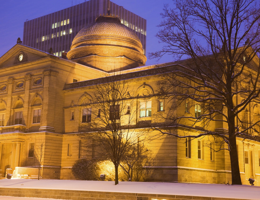 Noah Jigsaw Puzzle Snow storm in South Bend, Indiana 1000 pieces