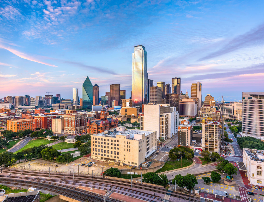 Noah Jigsaw Puzzle Dallas, Texas, USA downtown skyline 1000 pieces