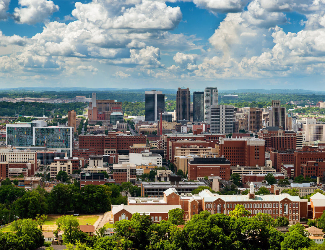 Noah Jigsaw Puzzle Birmingham, Alabama, from Vulcan Park 1000 pieces