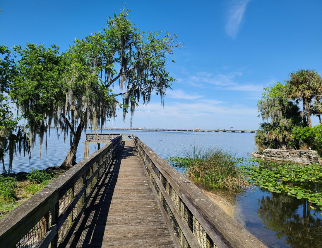 Noah Jigsaw Puzzle Lake Jesup fishing pier in Oviedo, FL 1000 pieces