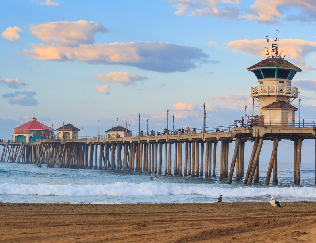 Noah Jigsaw Puzzle The Huntington Beach pier at sunrise, CA 1000 pieces