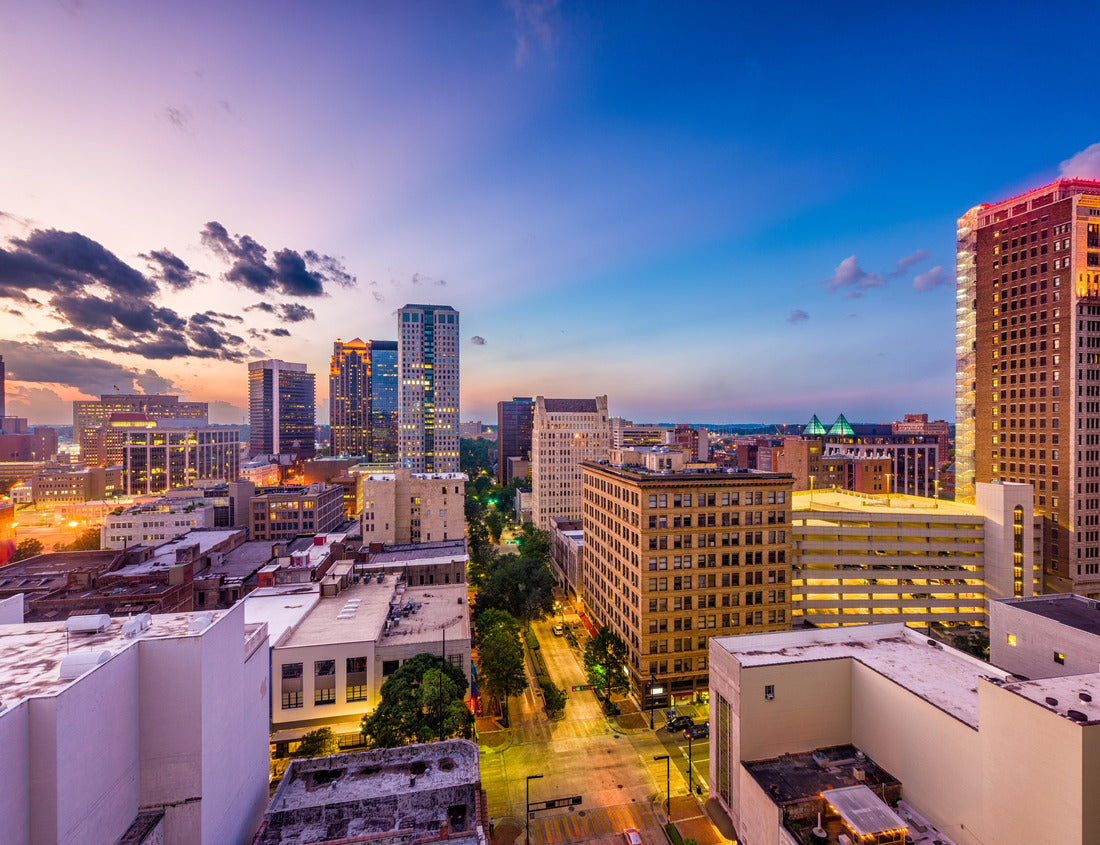Noah Jigsaw Puzzle Birmingham, Alabama, USA downtown city skyline 1000 pieces