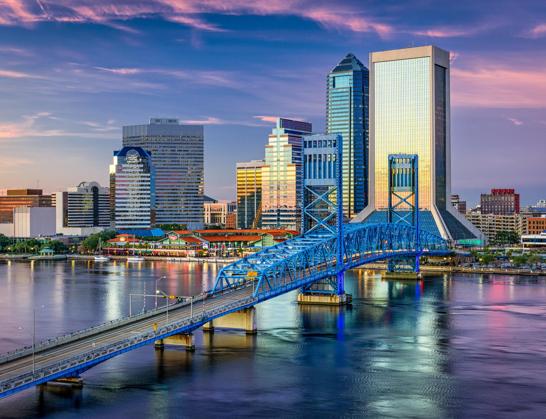 Noah Jigsaw Puzzle Jacksonville, Florida, USA Downtown City Skyline 1000 pieces