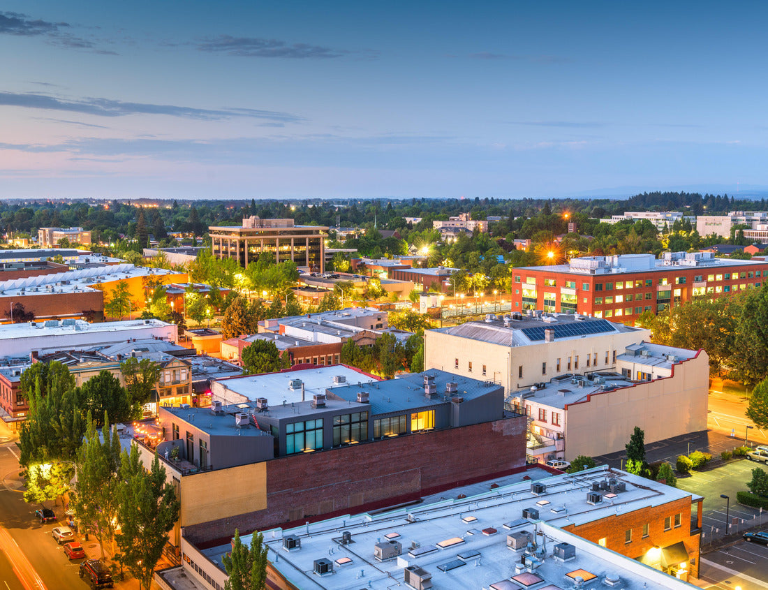 Noah Jigsaw Puzzle Salem, Oregon, USA downtown city skyline at dusk 1000 pieces