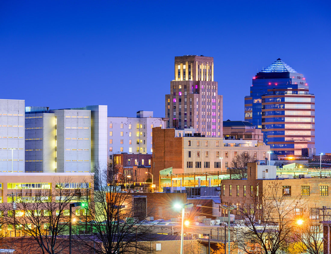 Noah Jigsaw Puzzle Durham, North Carolina, USA downtown city skyline 1000 pieces