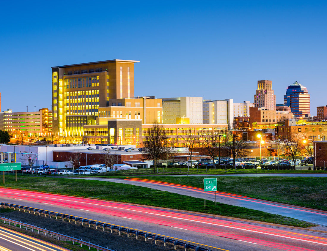 Noah Jigsaw Puzzle Durham, North Carolina, USA downtown city skyline 1000 pieces
