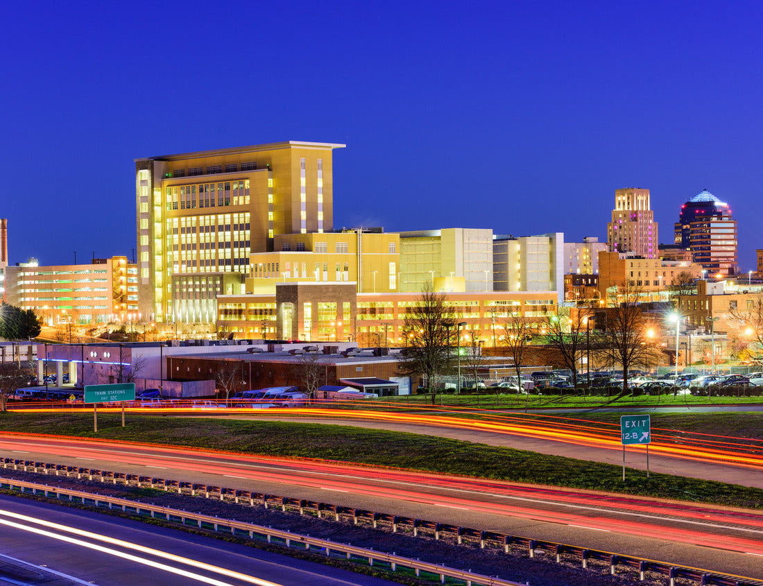 Noah Jigsaw Puzzle Durham, North Carolina, USA downtown city skyline 1000 pieces