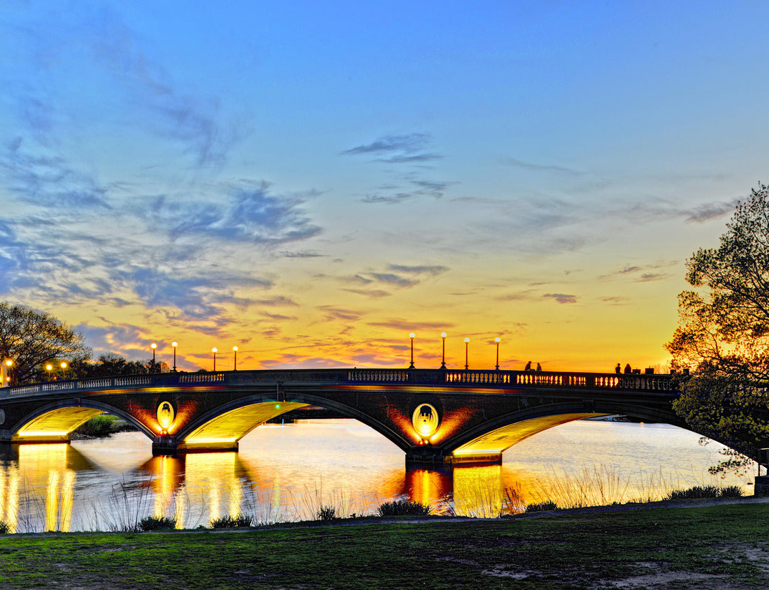 Noah Jigsaw Puzzle Weeks Memorial Bridge in Cambridge, Massachusetts 1000 pieces
