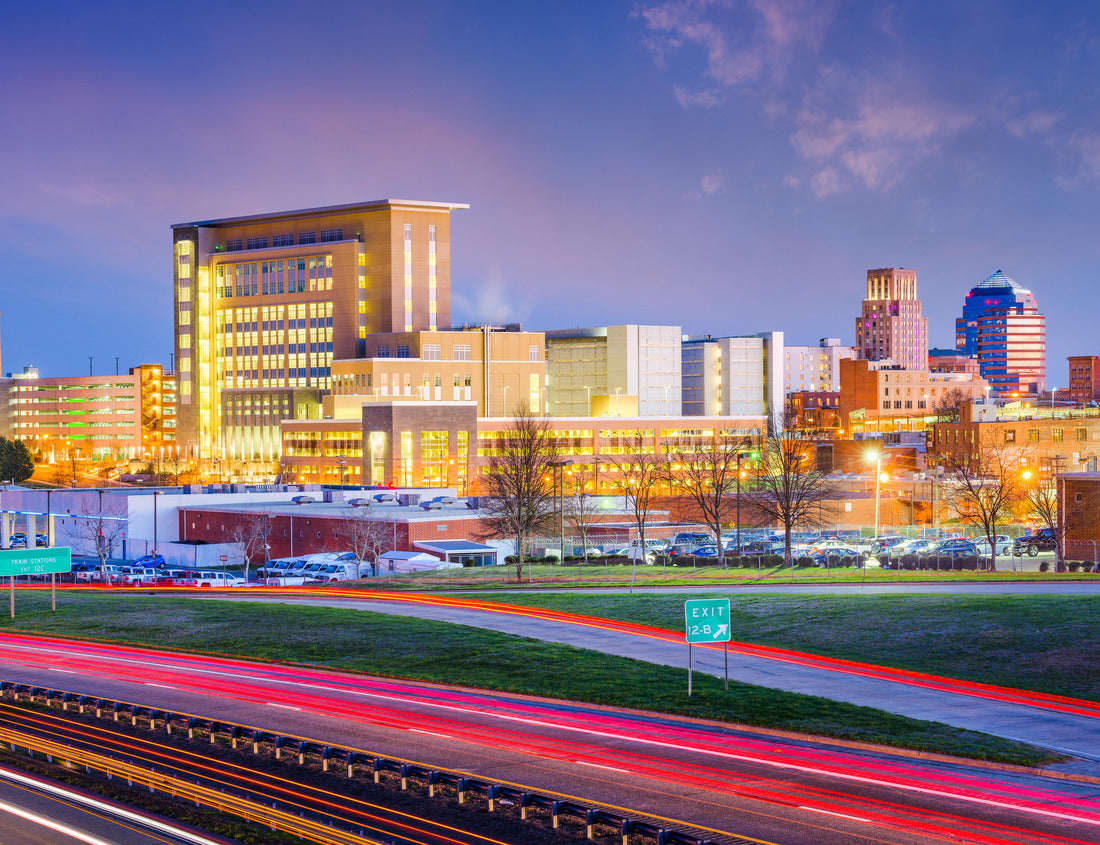 Noah Jigsaw Puzzle Durham, North Carolina, USA downtown city skyline 1000 pieces