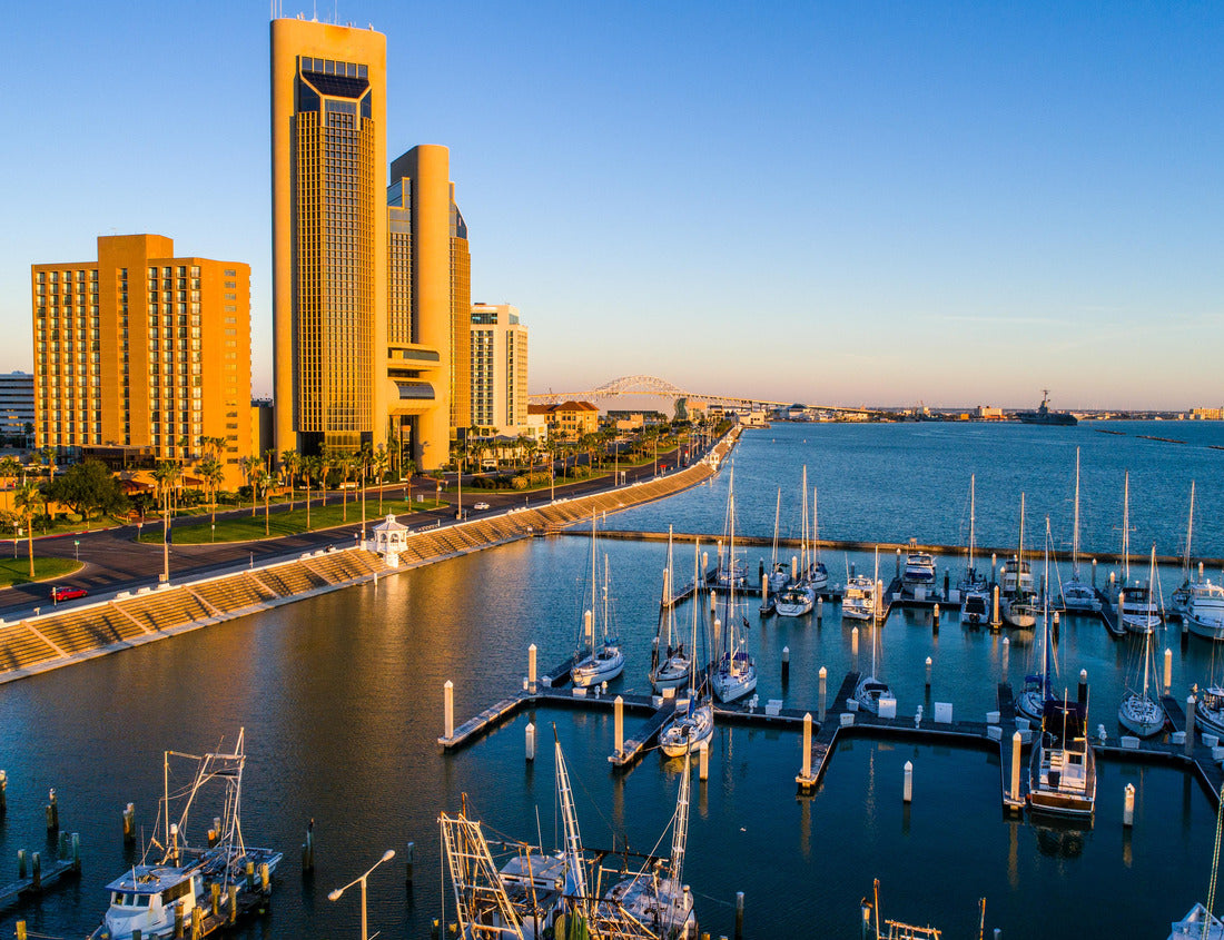 Noah Jigsaw Puzzle Corpus Christi , Texas Skyline Cityscape Bayfront 1000 pieces