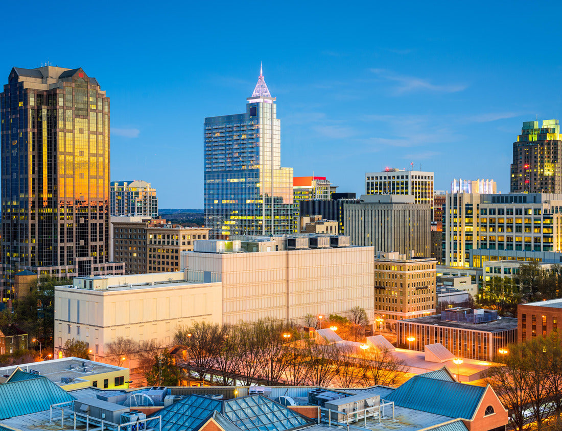 Noah Jigsaw Puzzle Raleigh, North Carolina, USA downtown city skyline 1000 pieces