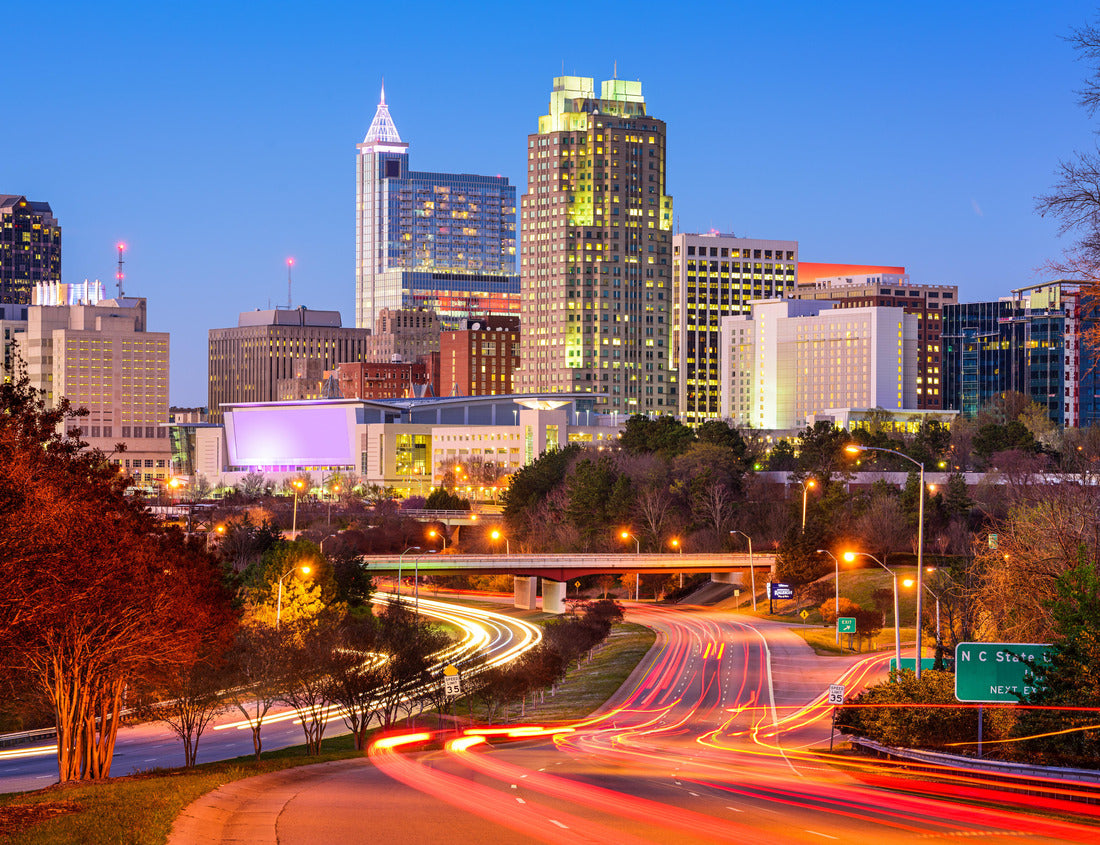 Noah Jigsaw Puzzle Raleigh, North Carolina, USA downtown city skyline 1000 pieces