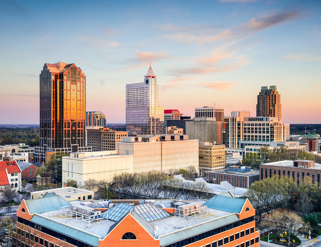 Noah Jigsaw Puzzle Raleigh, North Carolina, USA downtown city skyline 1000 pieces