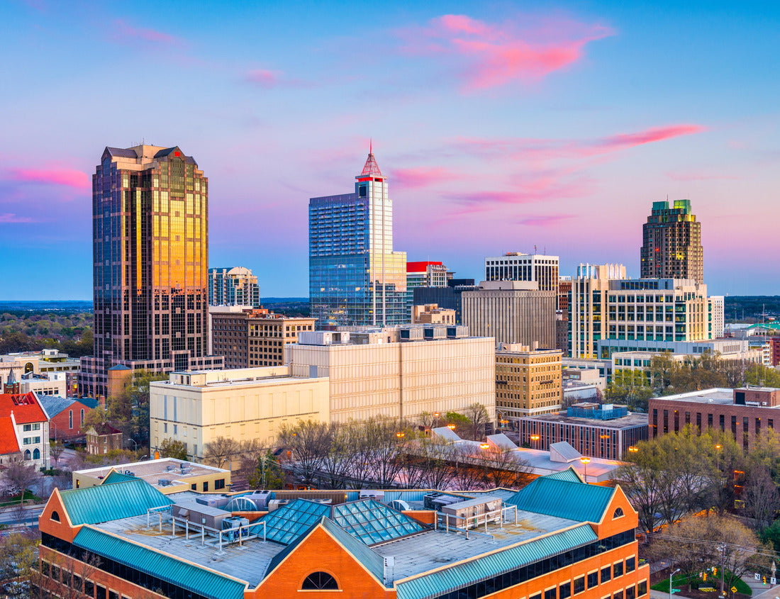 Noah Jigsaw Puzzle Raleigh, North Carolina, USA downtown city skyline 1000 pieces
