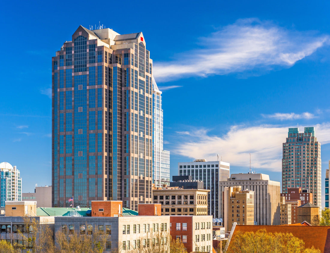 Noah Jigsaw Puzzle Raleigh, North Carolina, USA downtown city skyline 1000 pieces