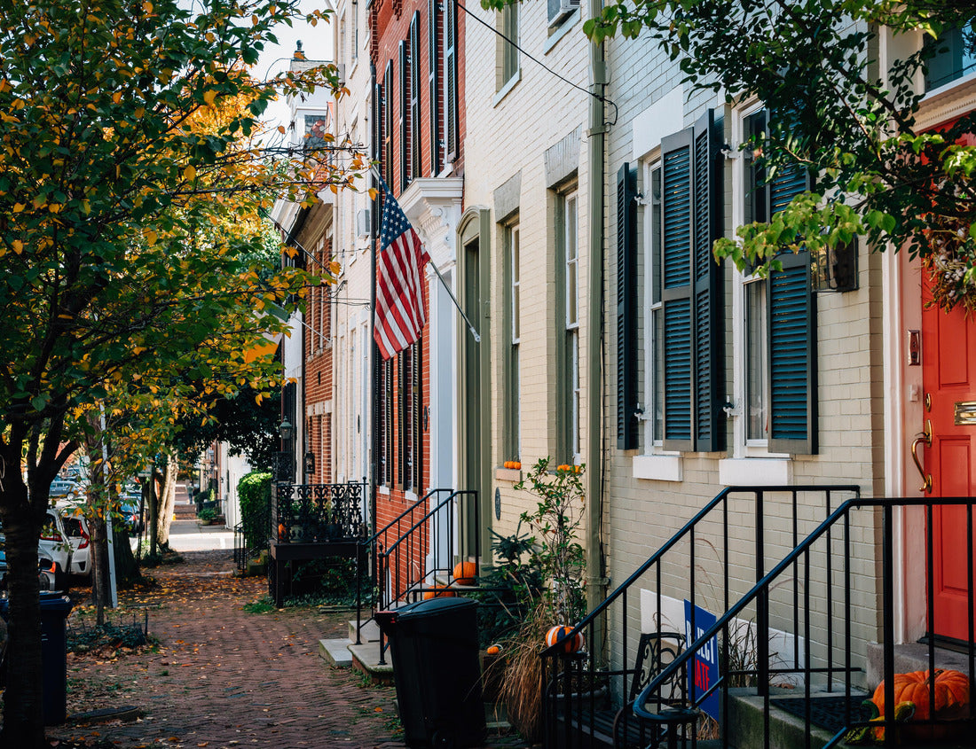 Noah Jigsaw Puzzle Brick row houses in Old Town, Alexandria, Virginia 1000 pieces