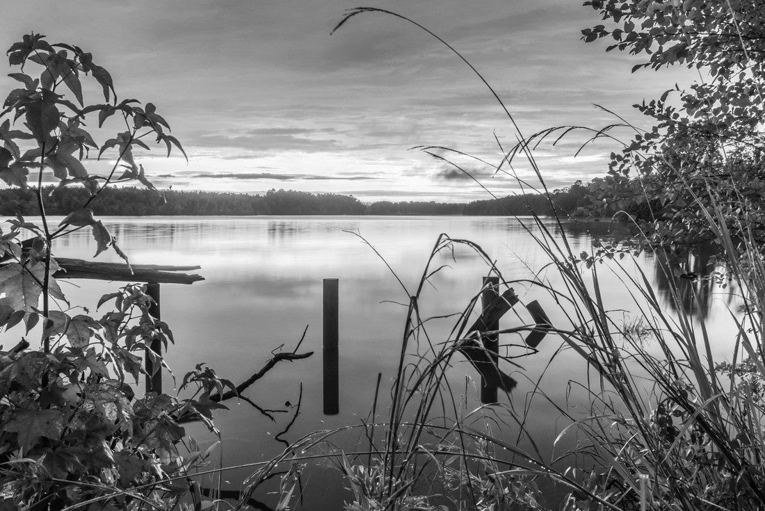 Evening at Elvis Presley Lake Elvis Presley Lake is a 322 acre lake located in Lee County, outside of Tupelo, Mississippi 2000pc PuzzleBlack and White