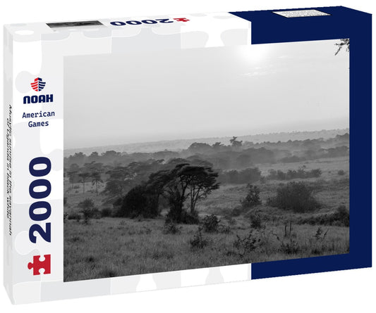 Noah Jigsaw Puzzle Musytic sunrise in the savannah of Uganda in black white 2000 pieces