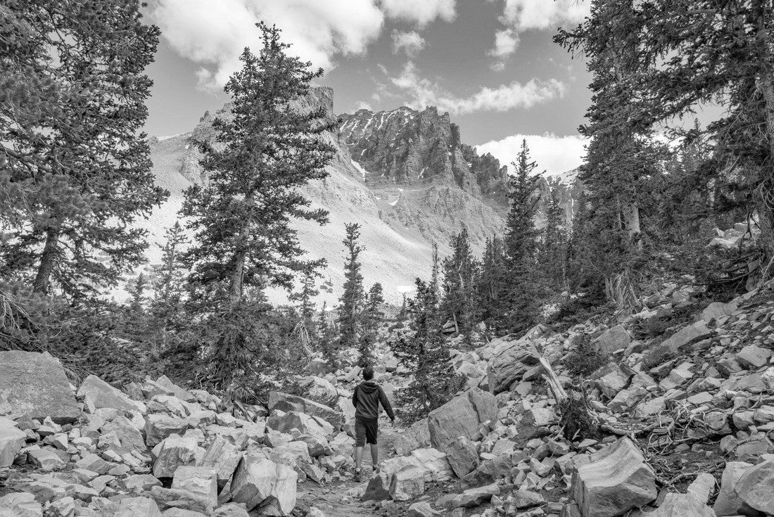 Boy hiking in ancient bristlecone pine forest in Great Basin National Park, Baker, Nevada, USA 2000pc PuzzleBlack and White