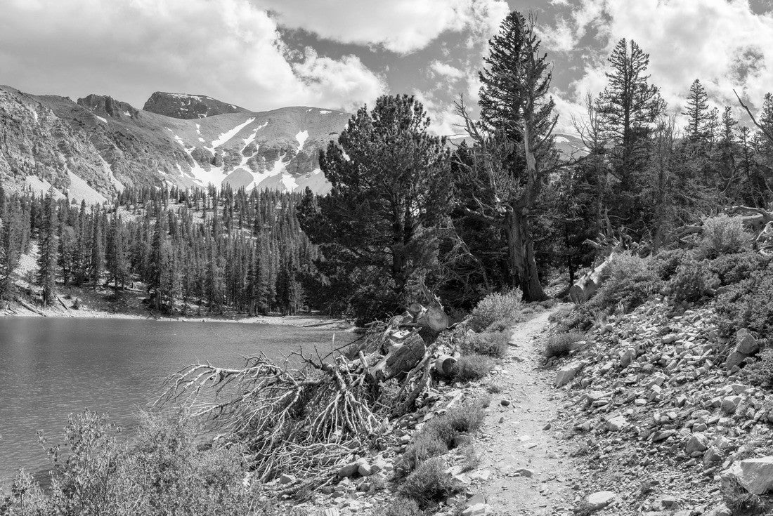 Noah Jigsaw Puzzle Theresa Lake, alpine lake in Great Basin National Park, Baker, Nevada, USA in black white 2000 pieces