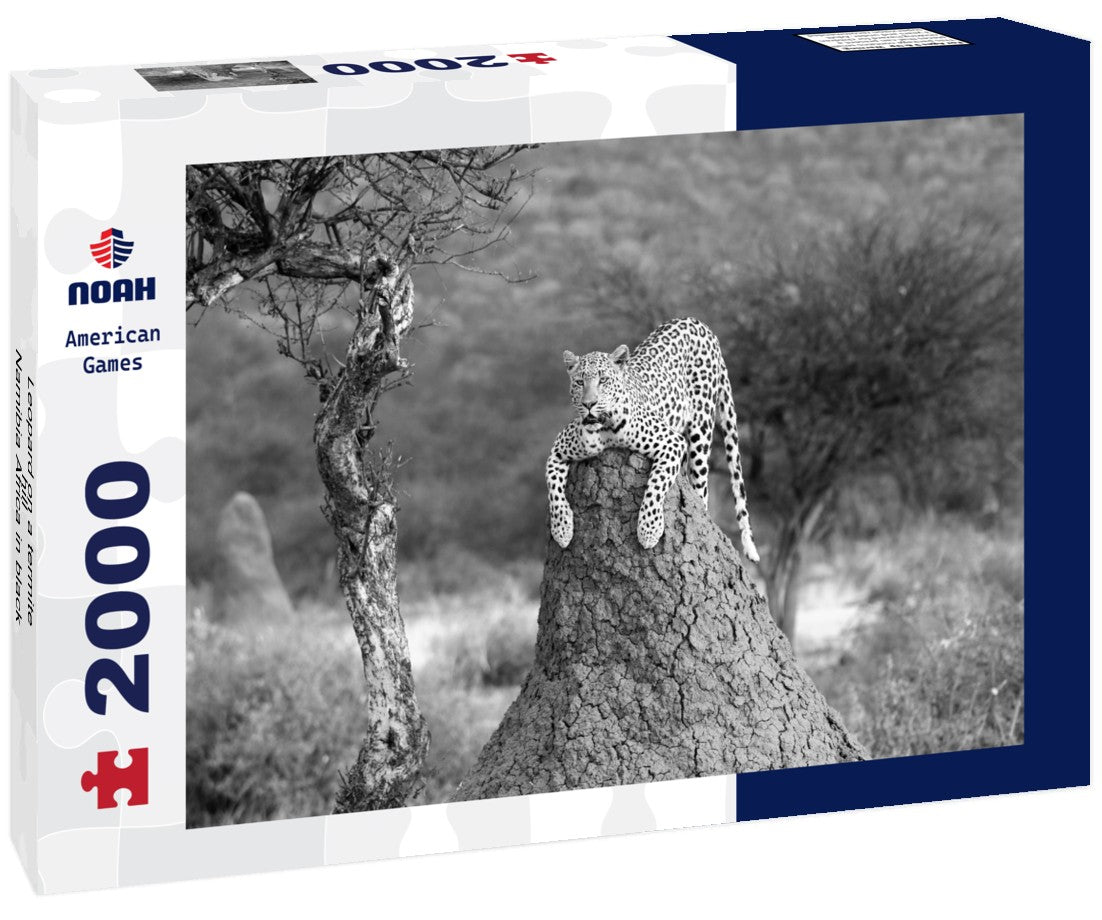Noah Jigsaw Puzzle Leopard on a termite hill - Namibia Africa in black white 2000 pieces