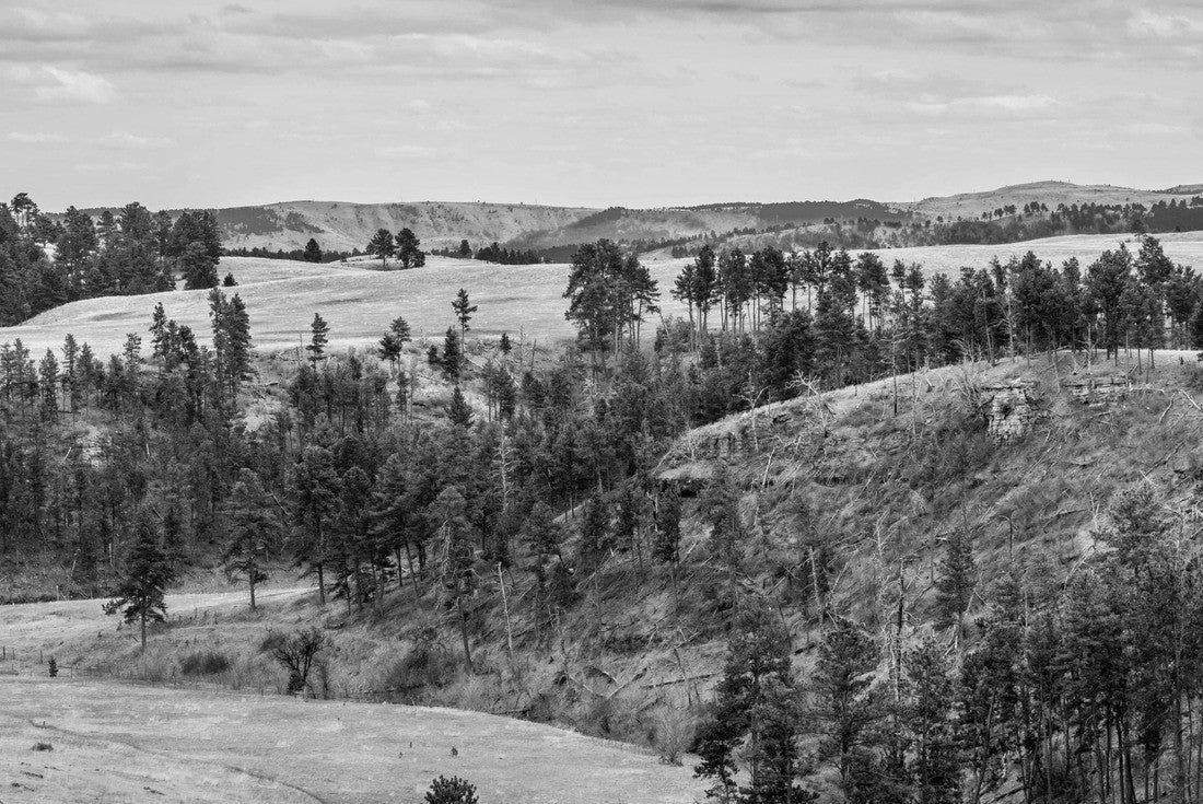 A beautiful overlooking view of nature in Wind Cave National Park, South Dakota 2000pc PuzzleBlack and White