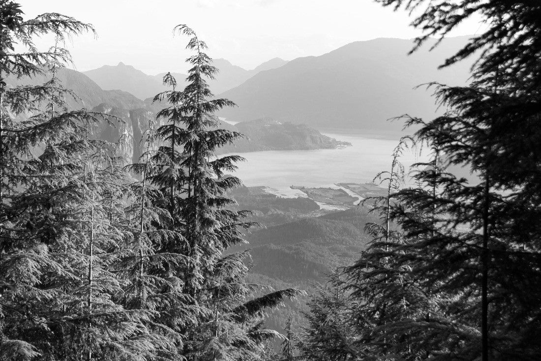 Noah Jigsaw Puzzle View over the Howe Sound Inlet, British Columbia, Canada in black white 2000 pieces