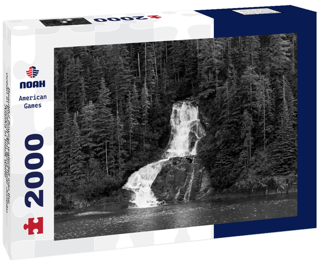 Beautiful flowing waterfall into the ocean in Endicott Arm fjord near Juneau Alaska 2000pc PuzzleBlack and White