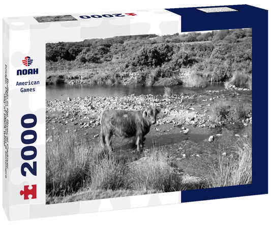 Noah Jigsaw Puzzle Buffalo in the River at Cadover bridge, Devon, England on a summers day in black white 2000 pieces