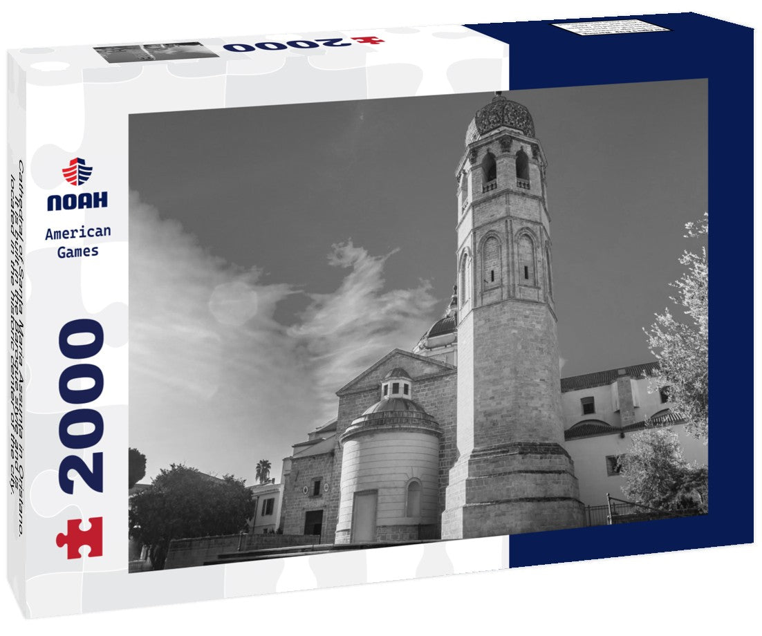 Cathedral of Santa Maria Assunta in Oristano. It is built in the Baroque style and is located in the historic center of the city. Sardinia, Italy 2000pc PuzzleBlack and White